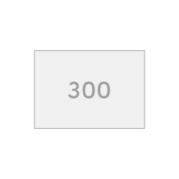 300 g Bilderdruck matt