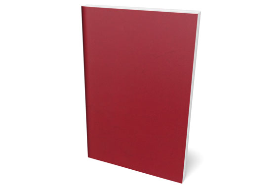 Bachelorarbeit Softcover Klebebindung ohne Titeldruck